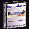 Barudan Punchant 7.0